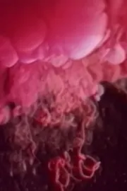 Inneres Feuer Teil 1: Wundbrand