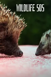 SOS živočišné říše