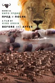 Пред и после