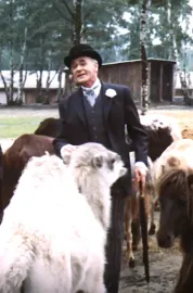 Pan Tau: Noc v safari