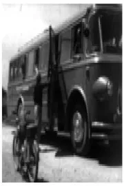 Кој е виновен?