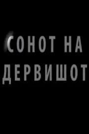 Сонот на дервишот