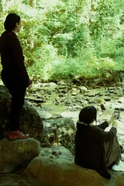 Together We Fall Apart