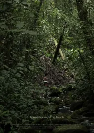 O verde fascínio me faz distante