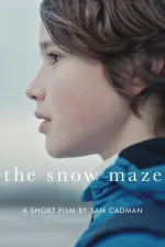 The Snow Maze