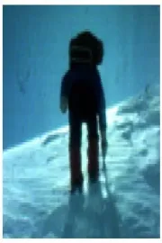 Хуаскаран - Анди '82