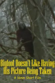 Bigfoot Doesn't Like Having His Picture Being Taken