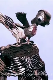 ՍԽԱԼ ԱՐՏԱՀԱՅՏՈՒԹՅՈՒՆ