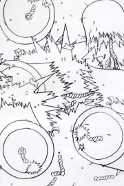 The Lives of Firecrackers