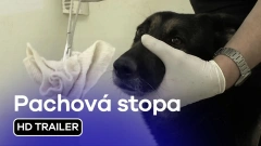 Pachová stopa: trailer